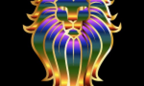 兔的功效作用网 :分享兔的功效作用与主治与用量-被诈骗报案材料怎么写样本知识